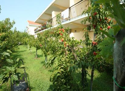 Bed And Breakfast Cirelli Скалеа Екстериор снимка
